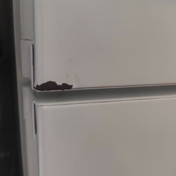 Bosch Kgn56vw30n Kapak Paslanma Sorunu