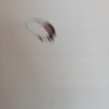 Söz Hotel (Bodrum) Kötülüğü