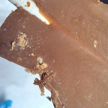 Ozmo Ürün İçinde Bulunan Kurt