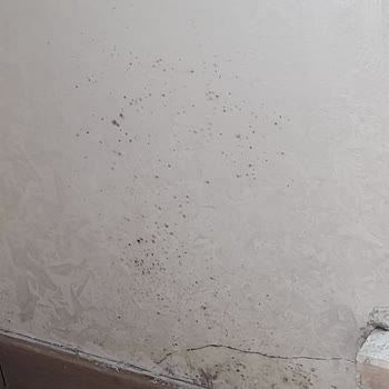 Emlak Konut GYO Ustaların İşini Doğru Yapmaması