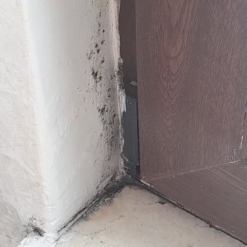 Emlak Konut GYO Ustaların İşini Doğru Yapmaması