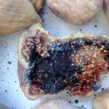 incircenneti.com Bozuk Ve Çürük İncirler