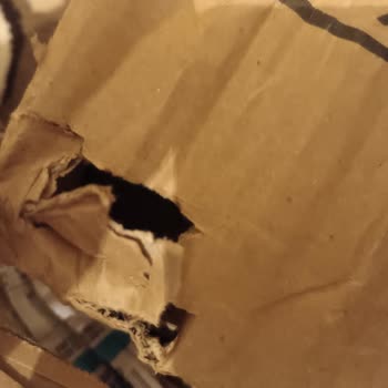 Trendyol Ezilmiş Patlamaya Hazır Deodorant