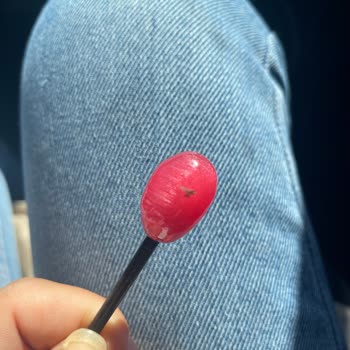 Rocco Şeker Ve İçinden Çıkan