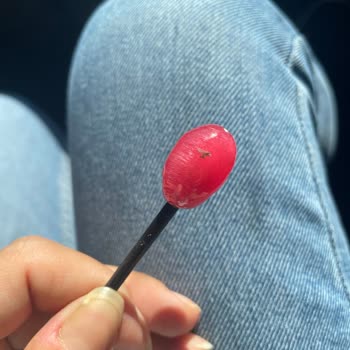 Rocco Şeker Ve İçinden Çıkan