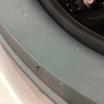 Siemens Çamaşır Makinesi Körük Lastiği