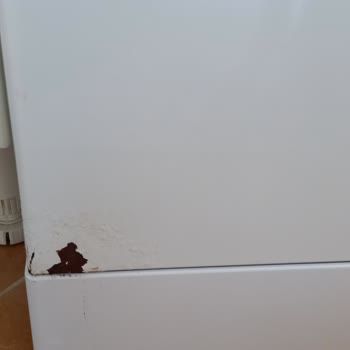 Arçelik Bulaşık Makinesi Kapakta Soyulma