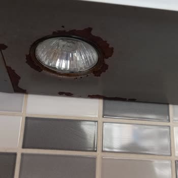 Arçelik Bulaşık Makinesi Kapakta Soyulma
