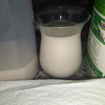 Pınar Et ve Süt Laktozsuz Sütün Rengi Beklenenden Farklı