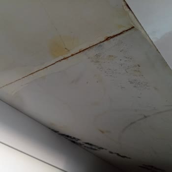 Belenco Geçmeyen Lekeler Üzerinde Oluşan Lekeler Ve Kaybolan Beyazlık