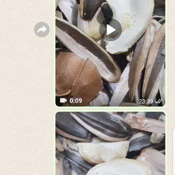 Ünal Kuruyemiş Küflü Kurtlu Ürün