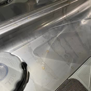 Samsung Bulaşık Makinesi İç Kısmı Paslandı