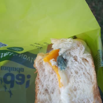 BİM Tada Peynirli Sandiviç Küf Problemi