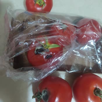 Getir Kalitesiz Ürünler Ve İlgisizlik