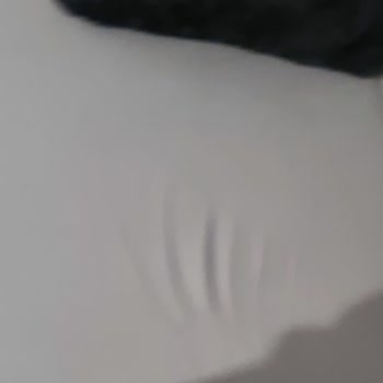 Bellona Loretto Koltuk Ve Servis Çalışanları