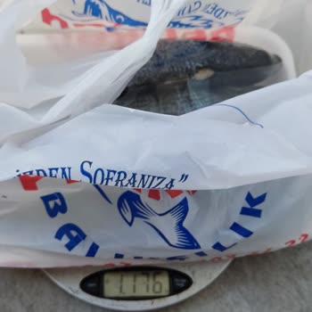 Getirçarşı Balık Siparişi Verdim
