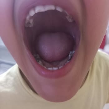 Mersin Ağız Ve Diş Sağlığı Merkezi Mersin Ağız Ve Diş Sağlığı