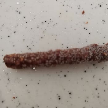 Biscolata Küflü Çıkan Biskolata