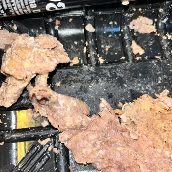 Namet Küflenmiş Reyon Ürünü!