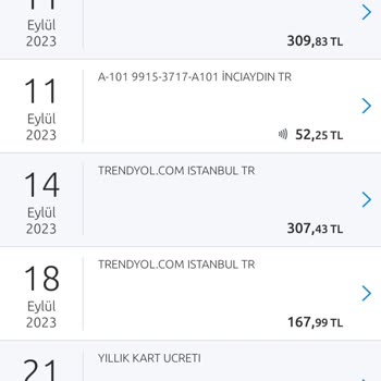 Yapı Kredi Bankası World Gold Kredi Kartı Yıllık Kart İtirazı