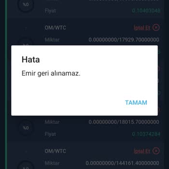 Bitexen Askıda Bekletilen İşlem, Açık Emir
