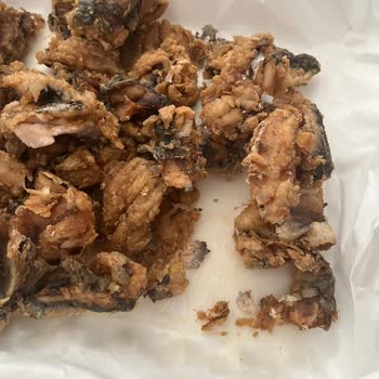 Girne Balık Evinden Yenmeyecek Balık