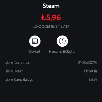 Lidio Ödeme Hizmetleri Usulsüz Para Çekimi