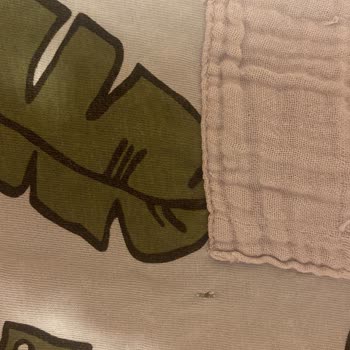 Rinso Limon Karbonat Toz Çamaşır Deterjanı