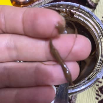 Nutella Üründen Kıl Çıktı