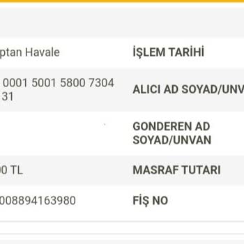 P*****a Elektronik Para Anonim Şirketi