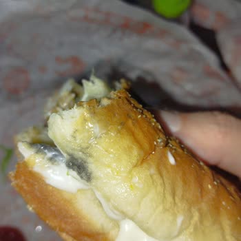 Popeyes Küflü Hamburger Gönderdi