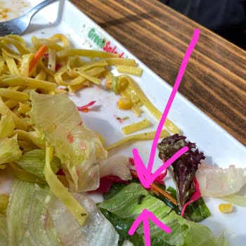 Canlı Solucan Çıktı. Green Salads