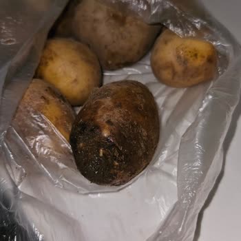 Migros Sanal Market Siparişi