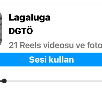 Instagram'da Telif Hatası!