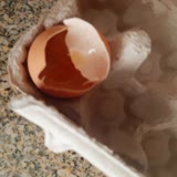BİM Gordo Marka Organik Yumurta Bozuk Yumurta Satıyor