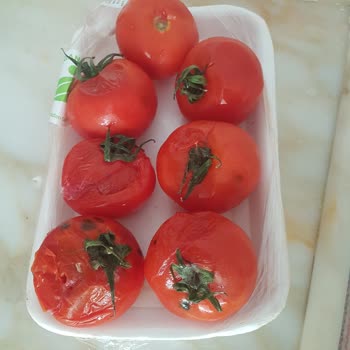 İstegelsin İn Çürük Ürünleri Bize Göndermesi