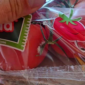 Getir Siparişleri Bozuk Küflenmiş