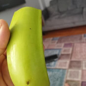 Getir Siparişleri Bozuk Küflenmiş