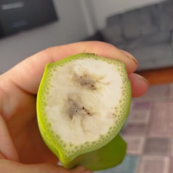 Getir Siparişleri Bozuk Küflenmiş