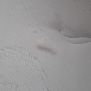 İdaş Yataktan Pamuk Çıkıyor