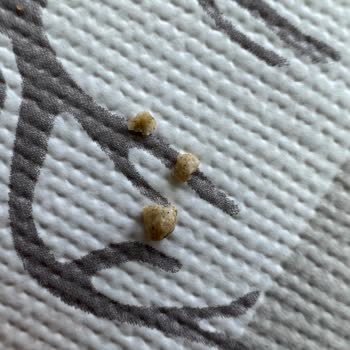 A101 El Yapımı Ayçekirdekli Galetadan Taş Çıktı