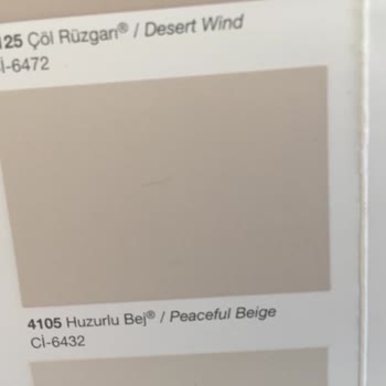 Polisan Boya Boyadıktan Sonra Bambaşka Renkler Çıktı