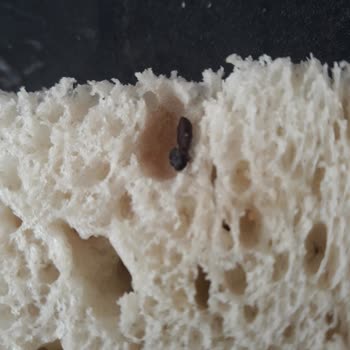 BİM Ekmekcik Tost Ekmeği