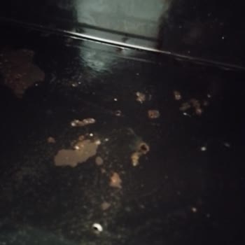 Vinola Ankastre Paslanma Delinme