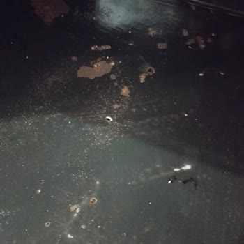 Vinola Ankastre Paslanma Delinme