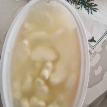 Bahçıvan Mix Peynir Küflenme