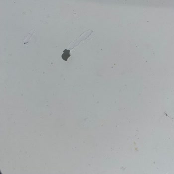 Nissan Micra Boya Atma Sorunu