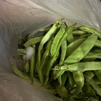 Migros Hemen Küflü Sebze Gönderdi