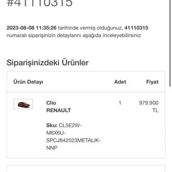 Renault's Customer Service and Dealer Failures Regarding Car Delivery