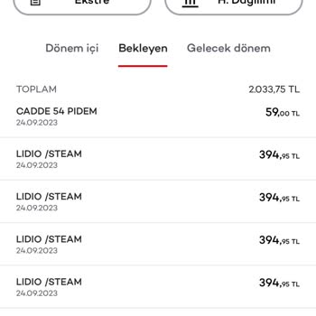 Lidio Steam Adı Altında Hesabımdan İzinsiz Para Çekti.